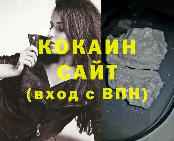 стаф Белокуриха