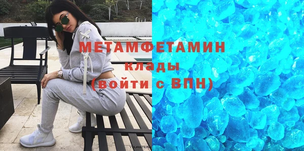 прущие грибы Беломорск