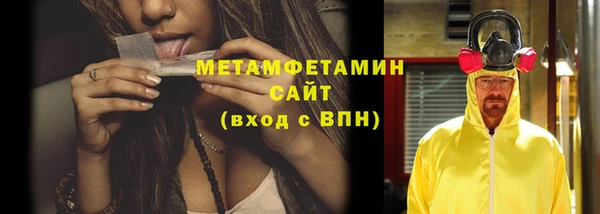 прущие грибы Беломорск