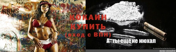стаф Белокуриха